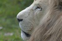 Cjp_2011_08_03_084617 (2).jpg